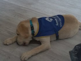 20150813_115406.jpg