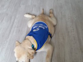 20150813_133039.jpg