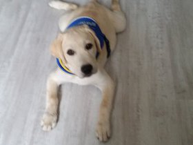 20150813_133052.jpg
