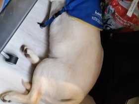 20151224_084609.jpg