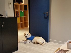 20151224_090346.jpg