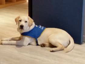 20151224_090350.jpg