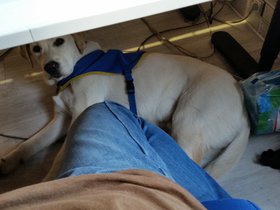 20151224_095204.jpg