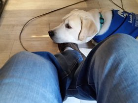 20151224_100829.jpg