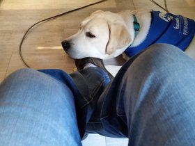 20151224_100835.jpg