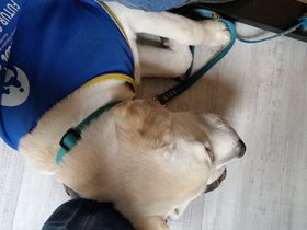 20151224_120441.jpg