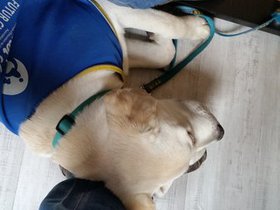 20151224_120443.jpg