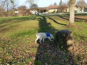 au_chateau
