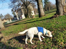 20151220_103041.jpg