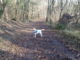 20151220_104408.jpg