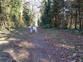 20151220_105229.jpg