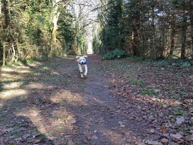 20151220_105232.jpg