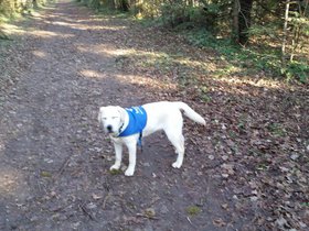 20151220_105351.jpg