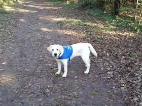 20151220_105354.jpg