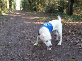 20151220_105357.jpg