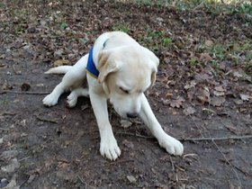 20151220_105415.jpg