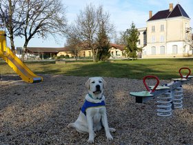 20151220_105852.jpg