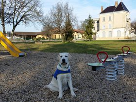 20151220_105856.jpg