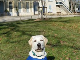 20151220_110223.jpg