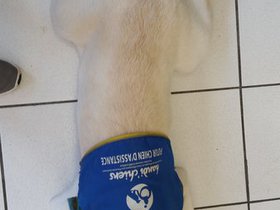 20160326_165457.jpg