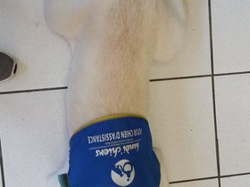 20160326_165502.jpg