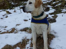 20160227_105610.jpg