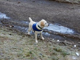 20160227_105616.jpg
